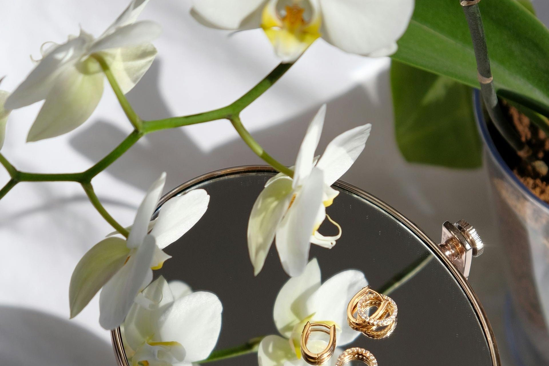 Witte Phalaenopsis orchidee boven een spiegel met de bloemen als reflectie