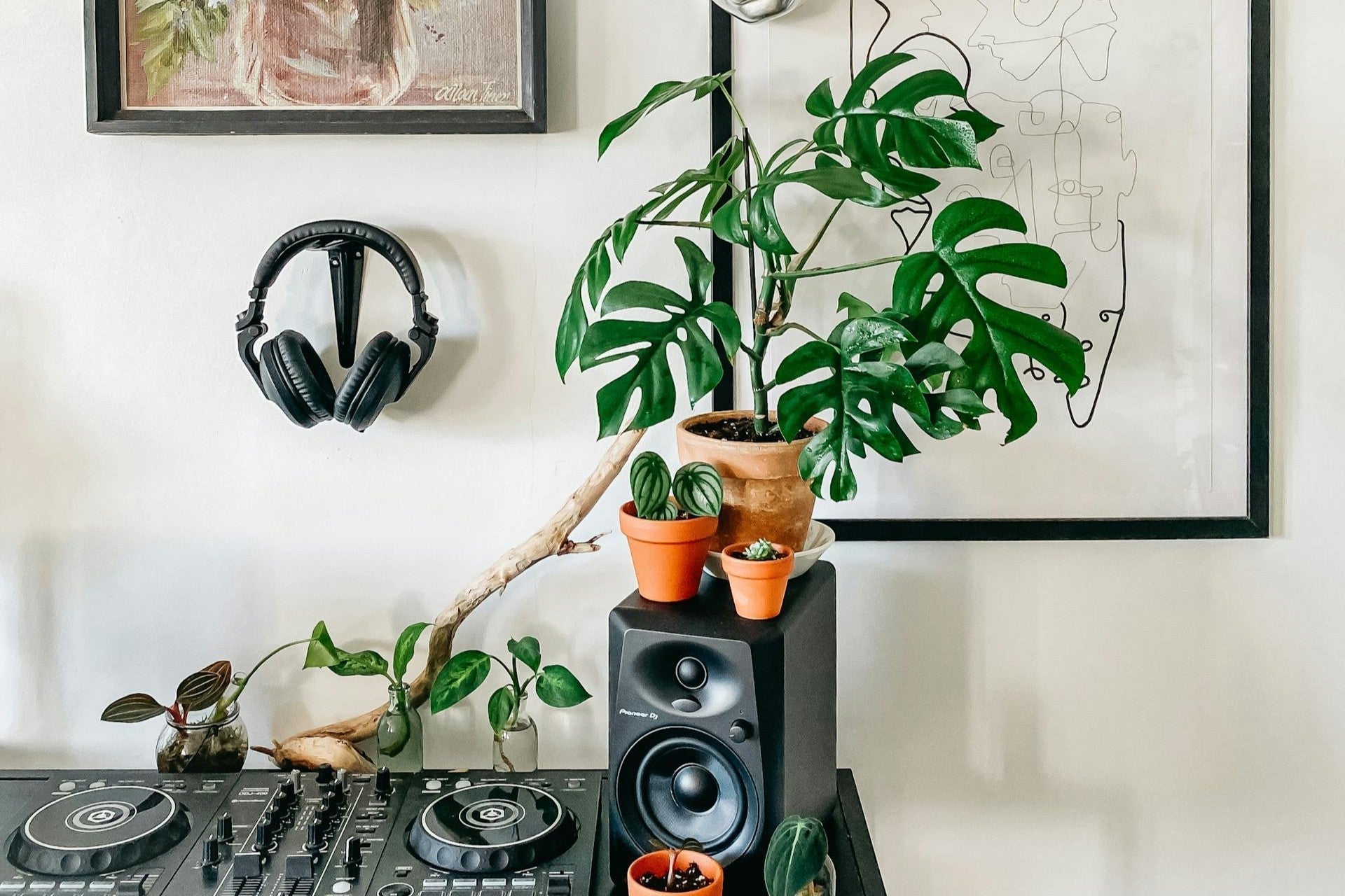 De stilte van planten en wat ze ons proberen te vertellen