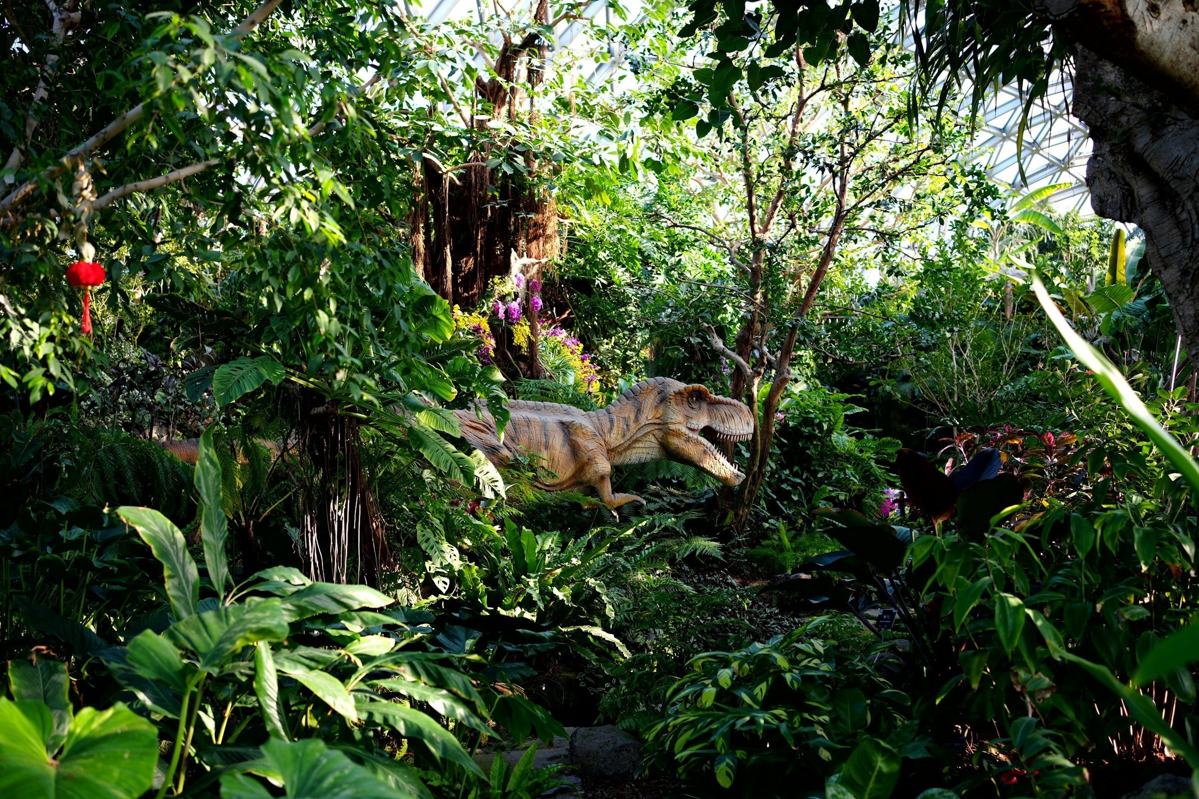 Hollywood vs. Paleobotanie: Wat deden hedendaagse orchideeën in het Krijt?