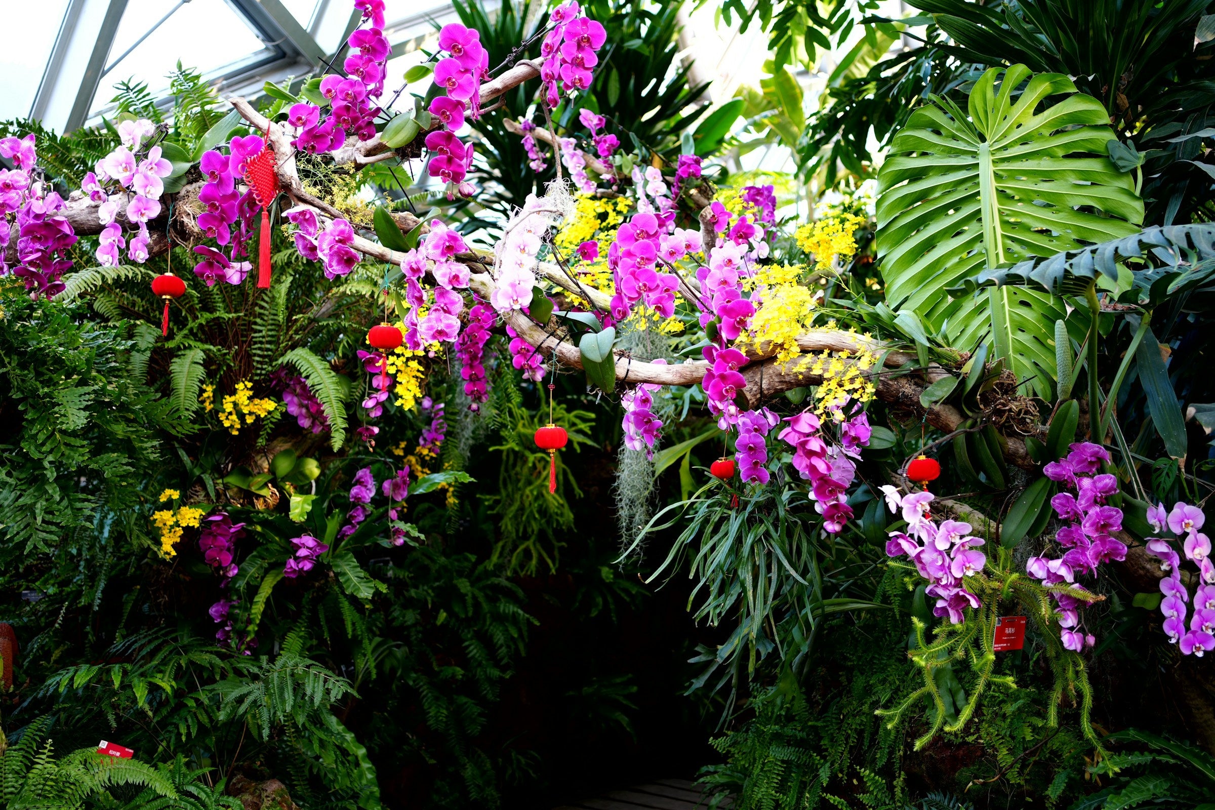 Uitgelicht: onze favorieten van dit moment