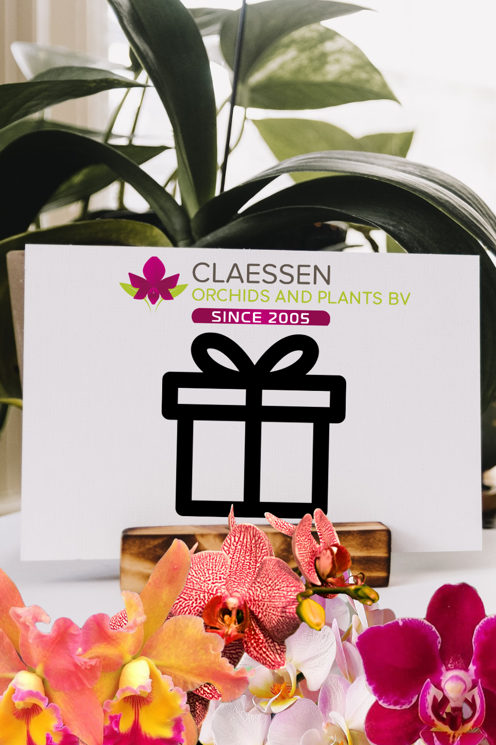 Chèque-cadeau Claessen Orchidées et Plantes