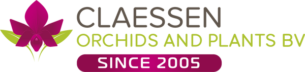 Claessen Orchids & Plants