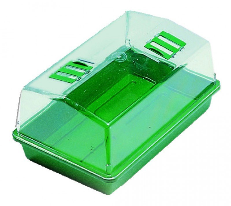 Guardería para pequeños bebés Orquídeas