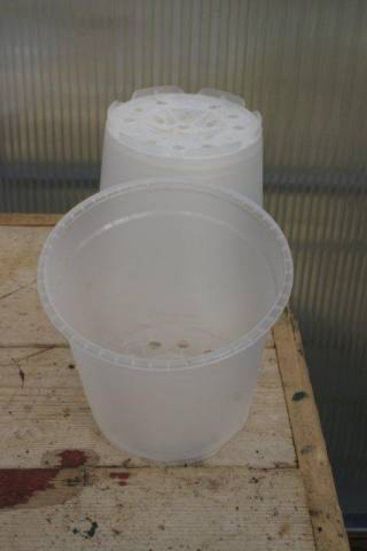 Macetas para orquídeas Transparente 17 cm (5 piezas)