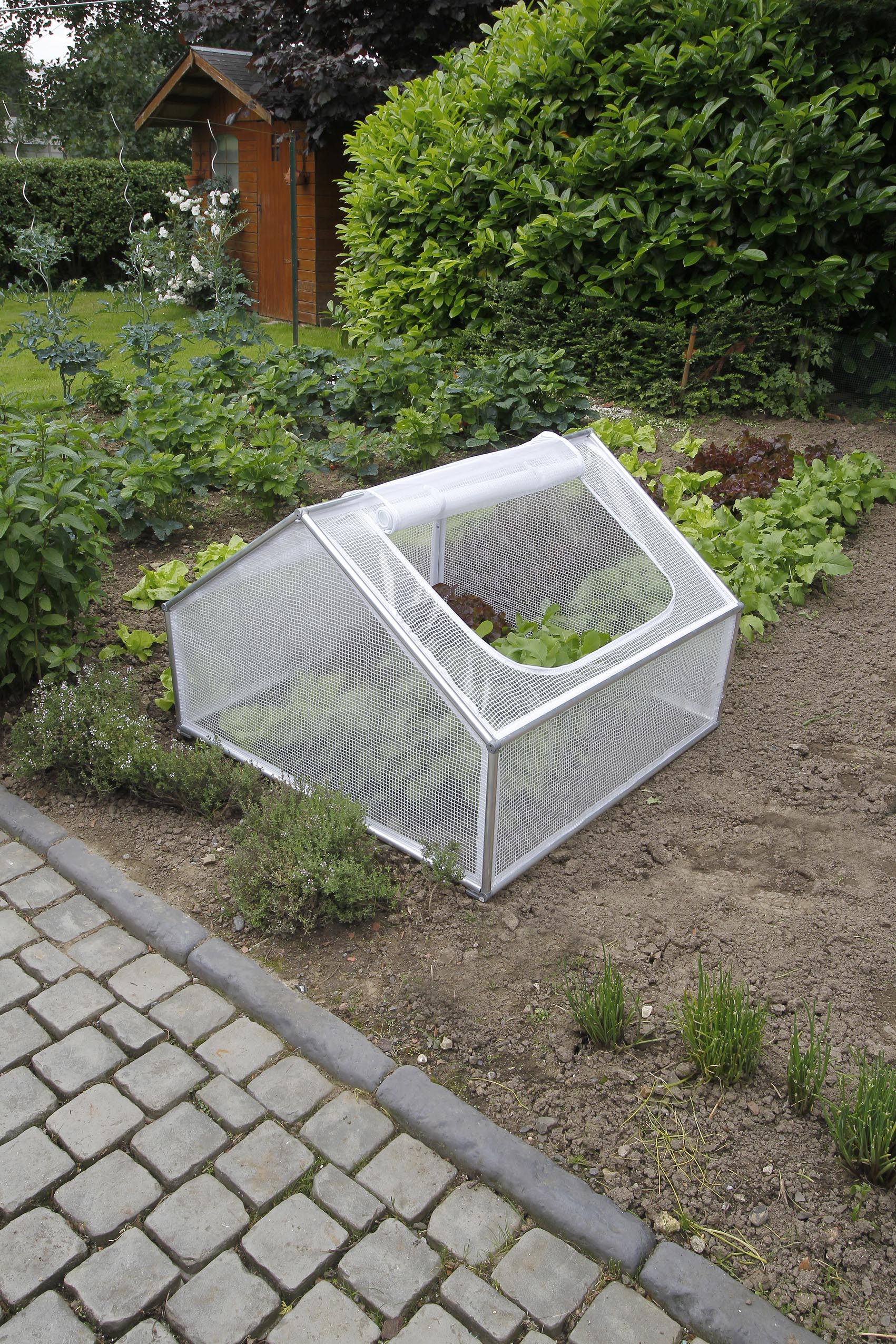 Serre de jardin 35/68 x 100 x 100 cm