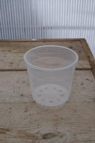 Macetas para orquídeas Transparente 12 cm "Segunda mano" (10 uds.)