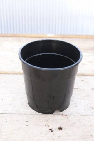 Pots d'orchidées Noir 12 cm (5 pièces)
