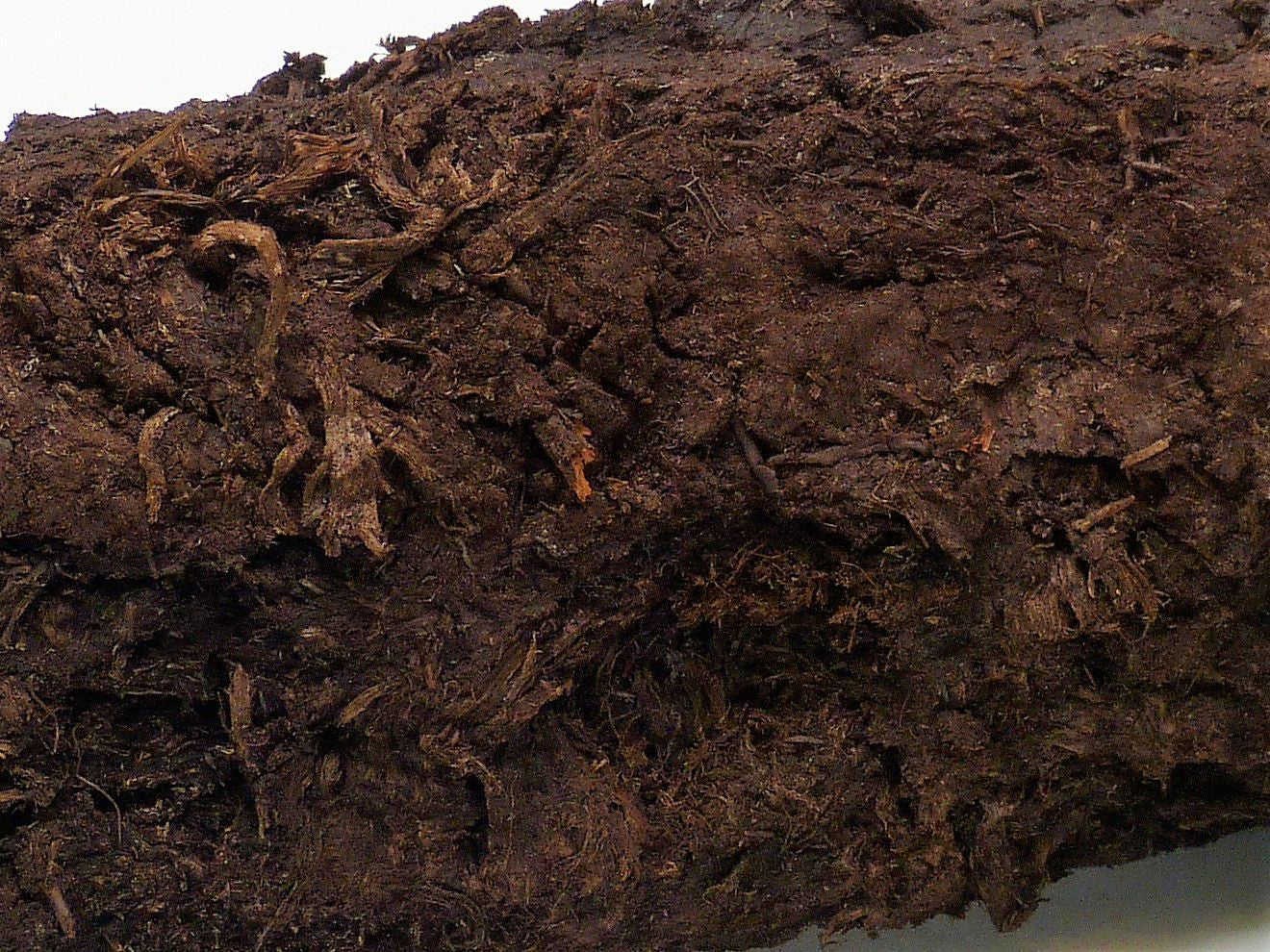 DÉCHIRURES DE LA BORDURE PAR 6 PIÈCES