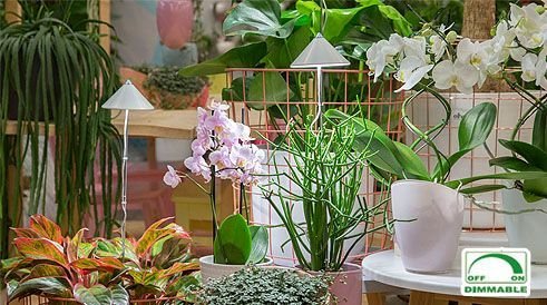 Parus, Potled iSun-Pole 10Watt, WIT, zonder controller