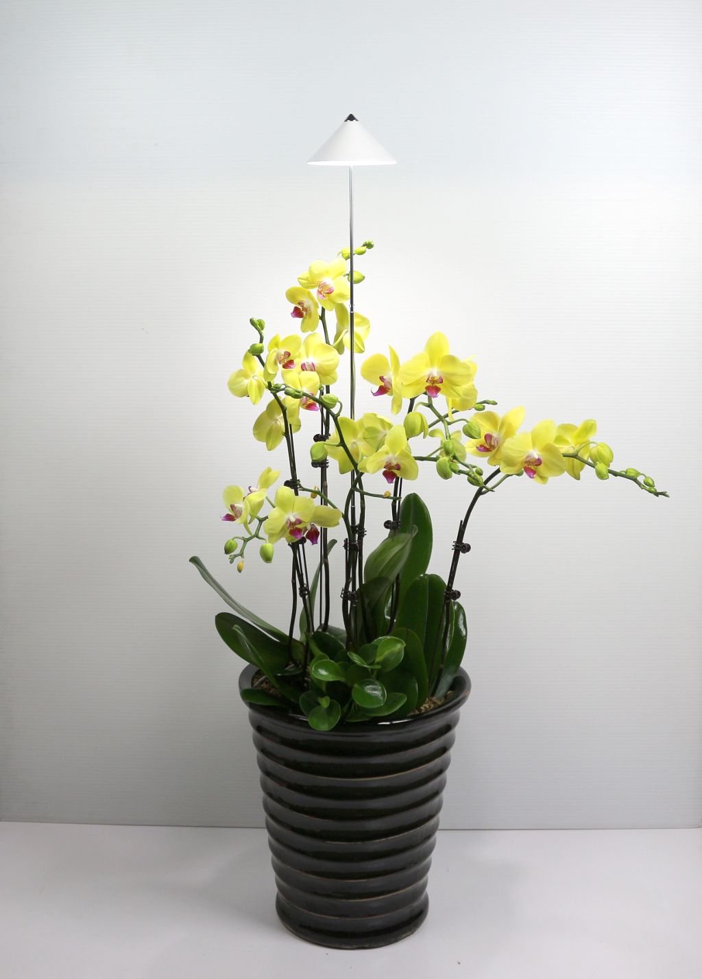 Parus, Potled iSun-Pole 10Watt, WIT, zonder controller