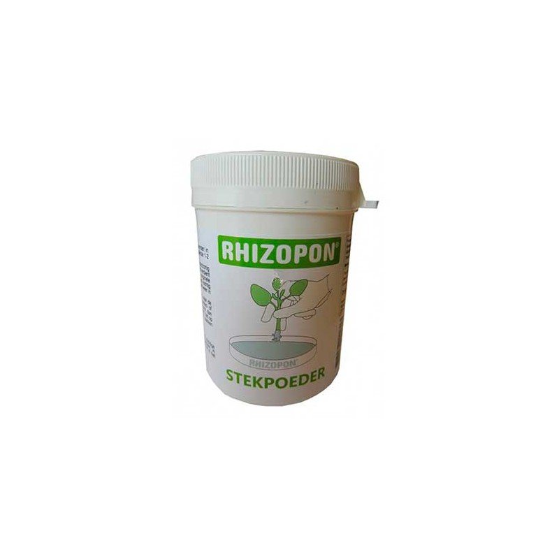 Rhizopon Pulver chryzotop 0,25% 80 gr,