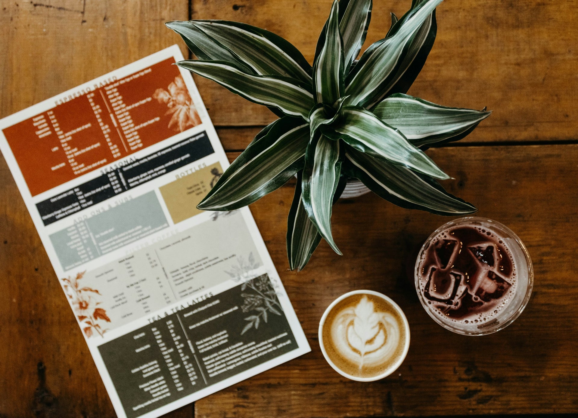Knnen Pflanzen Kaffee als Nahrung haben?