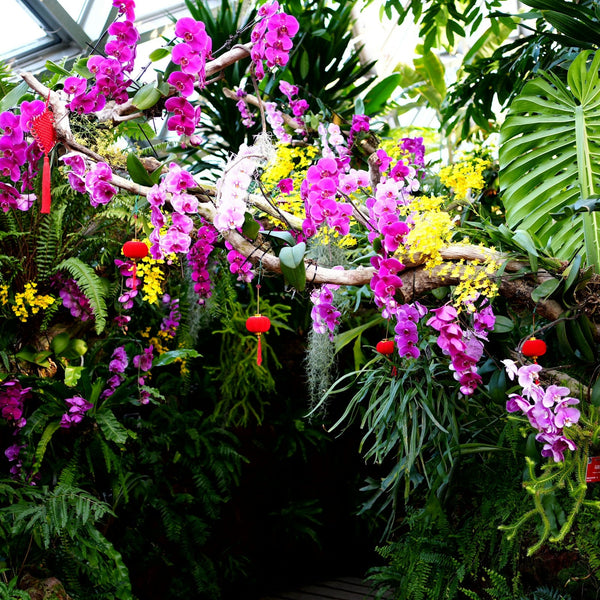 pexels-huy-phan-316220-