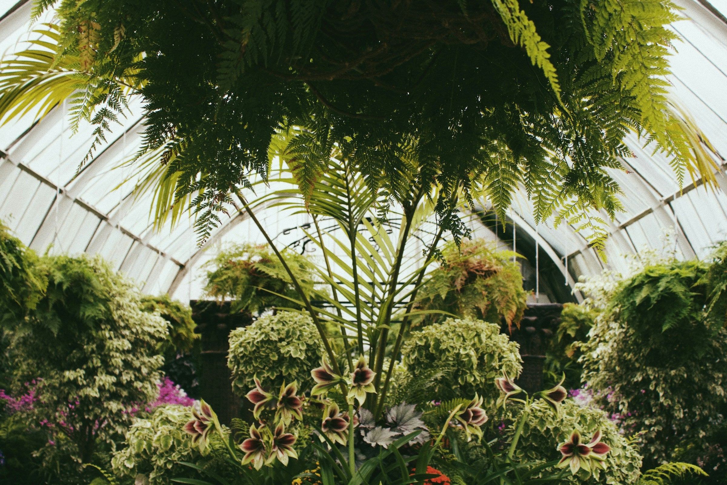 Botanical garden plants with flowers