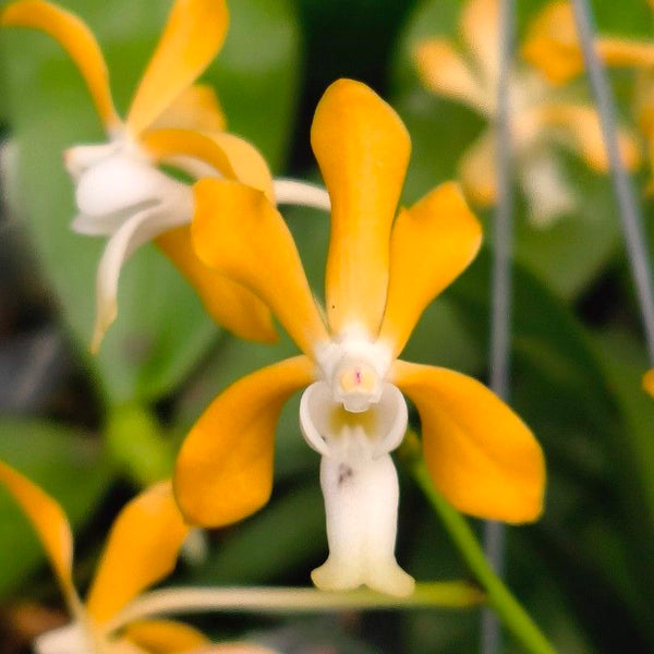 9EAD3903-8EEF-438D-B141-